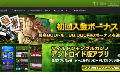 ワイルドジャングルカジノ徹底レビュー(wild jungle casino)