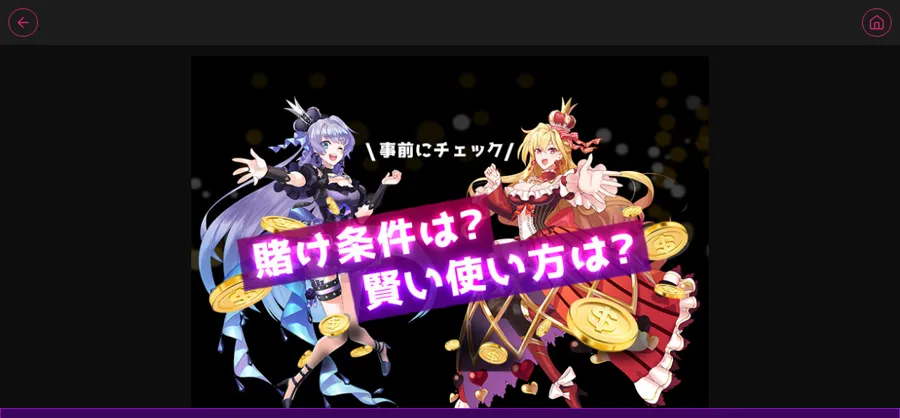 インターカジノ(InterCasino)公式のボーナス説明ページ(賭け条件と使い方)